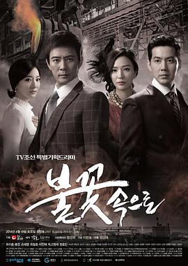 宁波seo整体优化公司有哪些